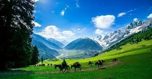 Kashmir Summer Package - Dal Lake Houseboat Tour