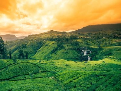 7 Days Highlights of Sri Lanka