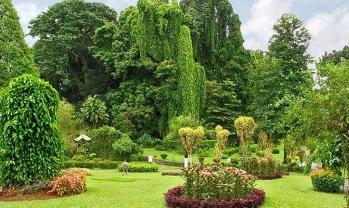 8 Days Best of Sri Lanka