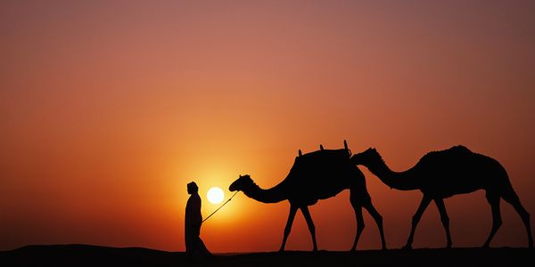 Dubai Royale Experience