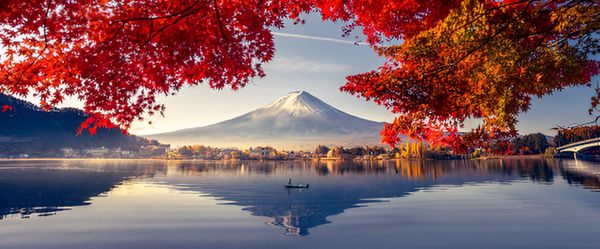 Japan All-In-One - Classic Route with Mt. Fuji & Bullet Train