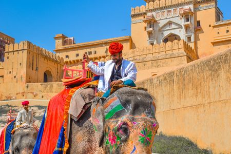 Royal Rajasthan Honeymoon Odyssey