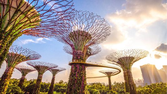 Singapore 5 Days Night Safari Edition – Safari, USS, Sentosa & Marina Bay Sands