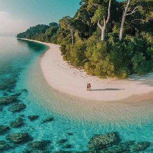 Tropical Love Affair